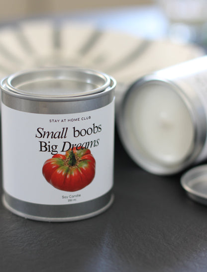 Small Boobs, Big Dreams Soy Candle